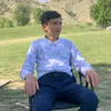 zanyarbradosty1