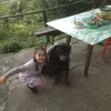 luigiclausi05