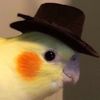 jhin_white