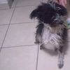 sandy_94110