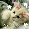 hkitty14