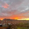 tom_91011_128