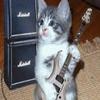 catwguitar