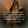 diosmifelicidad11