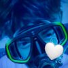 dewacs29