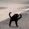 muaccch