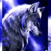 hunter_201708
