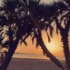 abdu7hadi