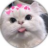 moru__143