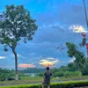 tminh_006