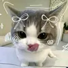 isayaokh24