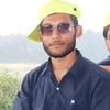 alamgir3491