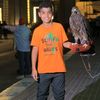 hamzaahmedgamal0