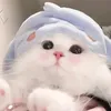 dyuunzwa6iiy
