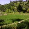 zulkiplinasution2