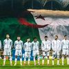 mohamedsar31
