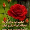 user6959747006371