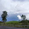 oliverbanan_