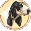 antoniojosepettin