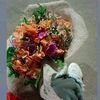 hanonwael1