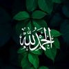 محمد رجب