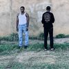 mjcrnls0009
