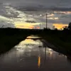 raidal_neto