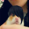 robinbuckleyishot_