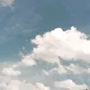 amamermad