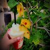 fruity4000