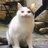 belugafriend002