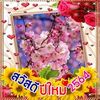 user8666537863163