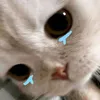 bainaothanhmax
