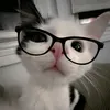 matthewsonxza