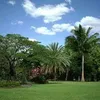khaldaomasim