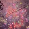rio_to44