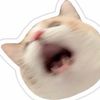 ppornnutcha09