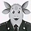 bobi69457
