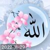 imranuddin118