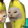 mr_papu_xd0