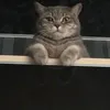 nikasn_27