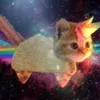 ._catpawshies