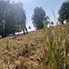 bazingar97