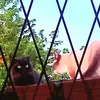 lapareddeunacasa12