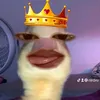 nlrdxv