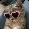 haneen.amr167