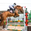 kristi_hors1