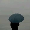 omar_qaida
