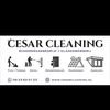 cesarcleaning