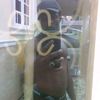 seyama32
